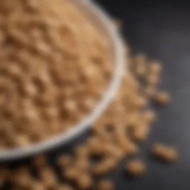 Top Low Sugar Protein Cereal Brands An array of popular low sugar protein cereal brands displayed on a countertop.