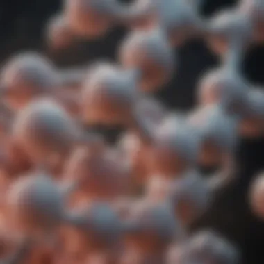 The Biochemical Structure of Lysine Biochemical structure of lysine highlighting its key features