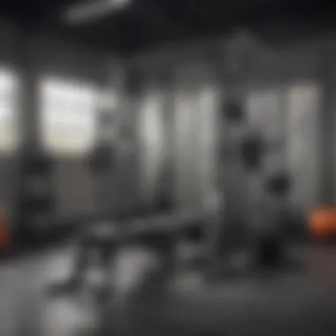 Organized Gym Space with Squat Rack A well-organized gym space featuring a squat rack and various strength training equipment