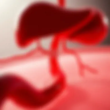 Visual representation of blood sugar regulation