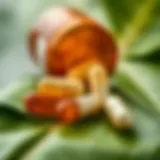 Folic acid capsules with a green leafy background