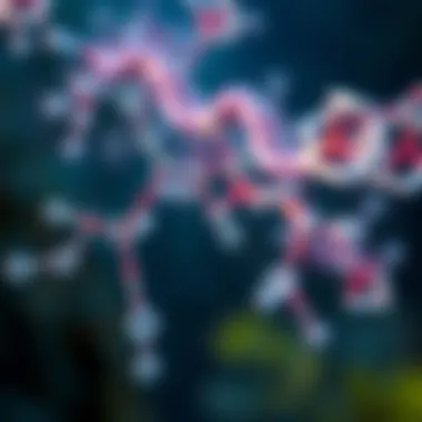 Biochemical Pathways Influenced by Magnesium Biochemical pathways influenced by magnesium