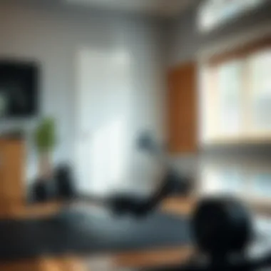 Stylish Home Gym Integration Concept 2 rower set up in a modern home gym environment