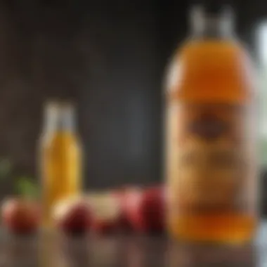 Culinary Applications of Apple Cider Vinegar Creative culinary applications of apple cider vinegar