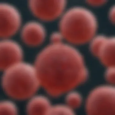 Microscopic Analysis of Blood Cells Microscopic view of blood cells indicating glucose levels