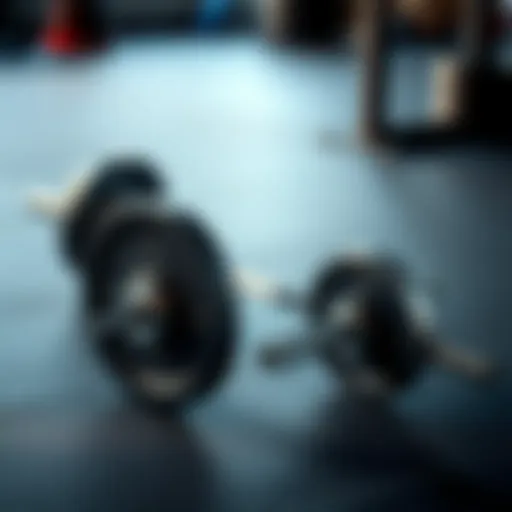 Rogue Barbell and Weight Set showcasing design and durability