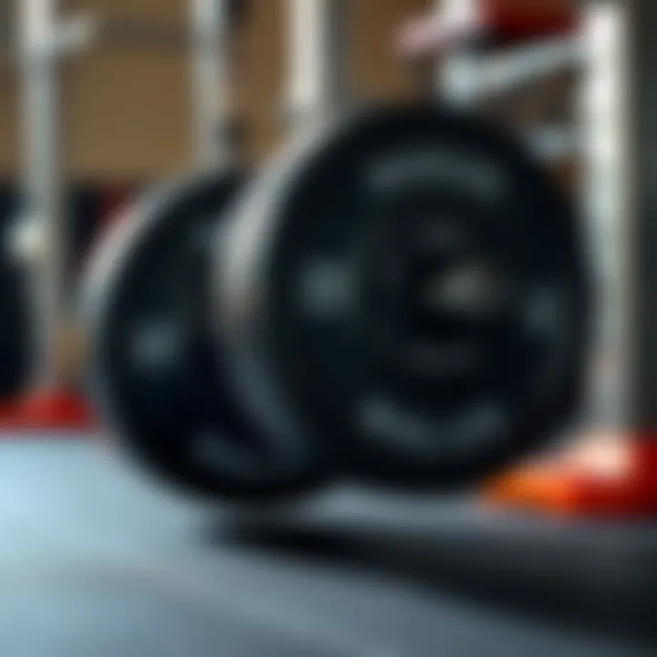 Maintenance tips for keeping the Rogue Barbell in top condition