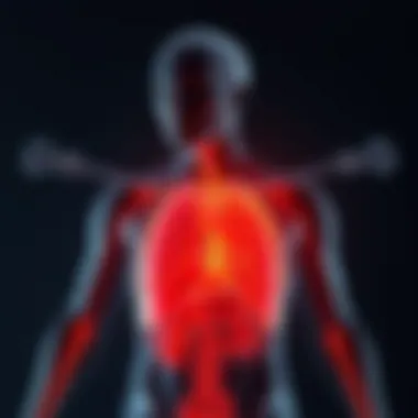 Graphic representation of body thermoregulation mechanisms.