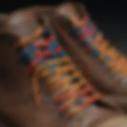 Variety of fat shoelaces displayed in different colors and materials
