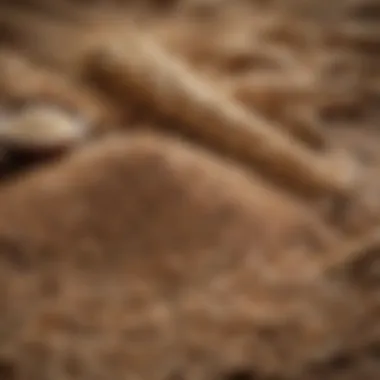 Whole Grains: The Foundation of Pre-Workout Nutrition Healthy whole grains on display