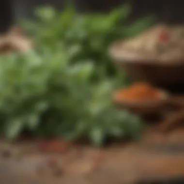 Herbs and Spices for Inflammation Reduction Fresh herbs and spices known for their anti-inflammatory properties