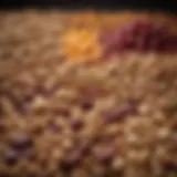 A colorful assortment of nutrient-dense snacks including nuts, seeds, and dried fruits.