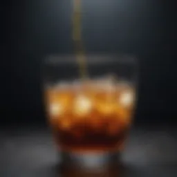 Nutrient-rich high protein liquid food in a glass
