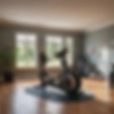 Optimized Home Workout Space A tranquil home workout space designed for effective elliptical training.