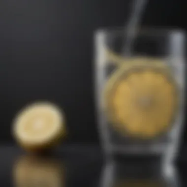 A glass of water with lemon for hydration