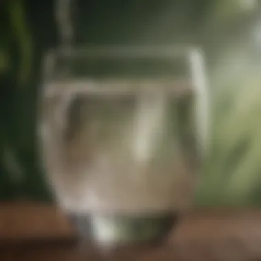 Hydration and Health Benefits of Psyllium Husk A serene setting showcasing a glass of water with psyllium husk, symbolizing hydration and health.