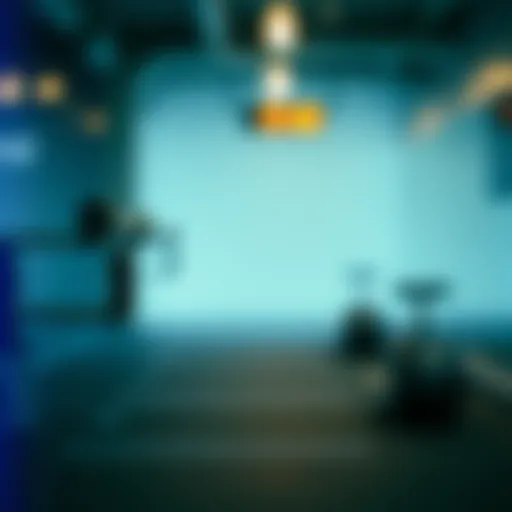 Overview of group fitness app features