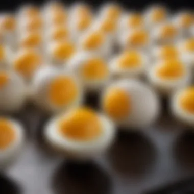 Visual of flawless hard boiled eggs showcasing rich yolk color Perfectly hard boiled eggs with vibrant yolks