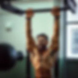 Maximizing Gains: The Profit of a Pull-Up Bar Introduction