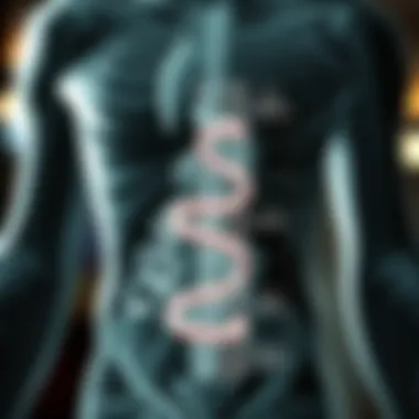 Metabolism Explained Diagram showcasing metabolic processes