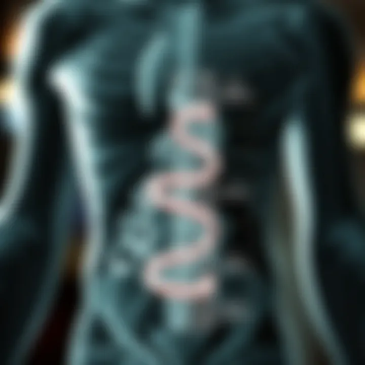 Metabolism Explained Diagram showcasing metabolic processes