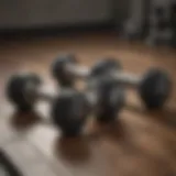 Modern design of NordicTrack adjustable dumbbells