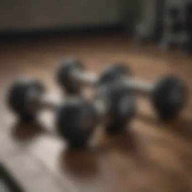 Modern design of NordicTrack adjustable dumbbells