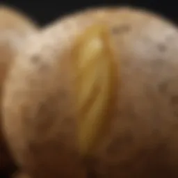 A close-up view of a potato showcasing its skin texture and nutritional facts.