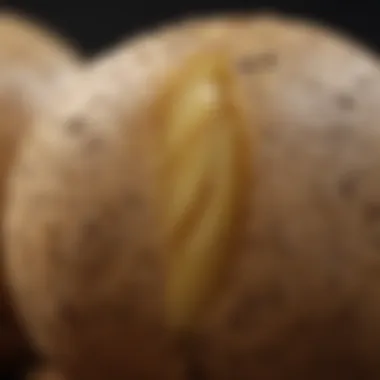The Nutritional Surface of Potatoes A close-up view of a potato showcasing its skin texture and nutritional facts.