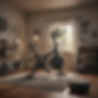 Organized Workout Space with Exercise Bike A well-organized space showing an exercise bike and accessories