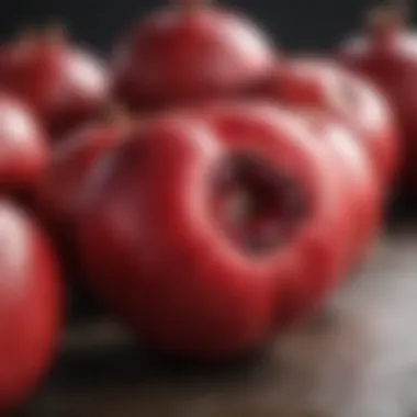 Bioactive Compounds in Pomegranates Bioactive compounds in pomegranates