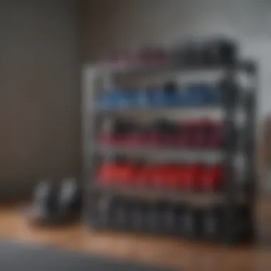 Space-Saving Storage for Home Workouts Compact storage solution for adjustable dumbbells