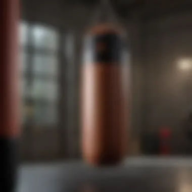 Examining the Durability of RDX Punching Bags RDX punching bag showcasing its durability and design