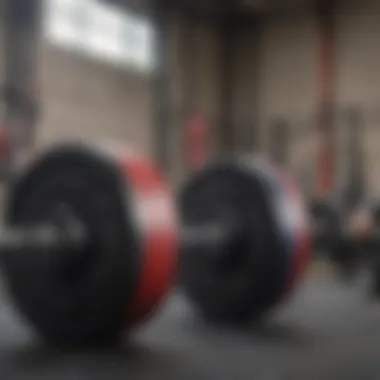Diverse Weights and Aesthetics of Rogue Barbell Rogue Barbell weight set showcasing various weights and colors.