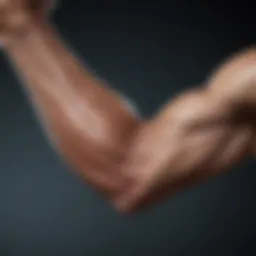 Anatomy of forearm muscles showcasing key areas for development