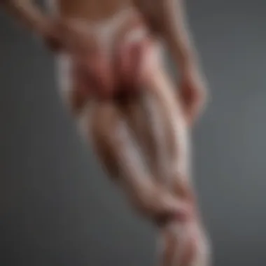 Understanding Hamstring Anatomy Anatomy diagram of the hamstring muscles