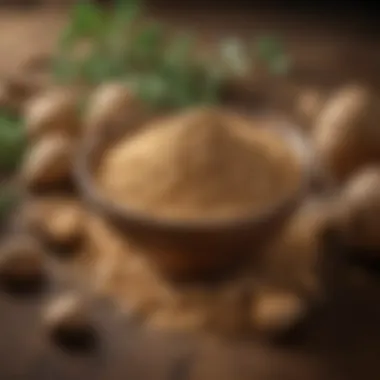 A vibrant display of maca root powder in a bowl surrounded by fresh maca roots