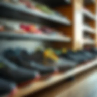 Diverse Running Shoe Types for Every Runner Running shoes arranged on a shelf representing various types and styles