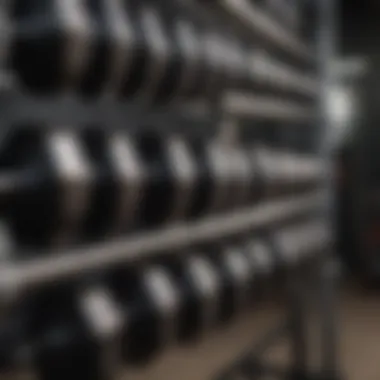 Variety at Hand: The Dumbbell Rack A well-organized dumbbell rack displaying various sizes of weights