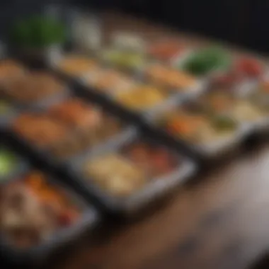 Efficiently Packaged Weekly Meals Organized containers filled with pre-portioned meals for the week.