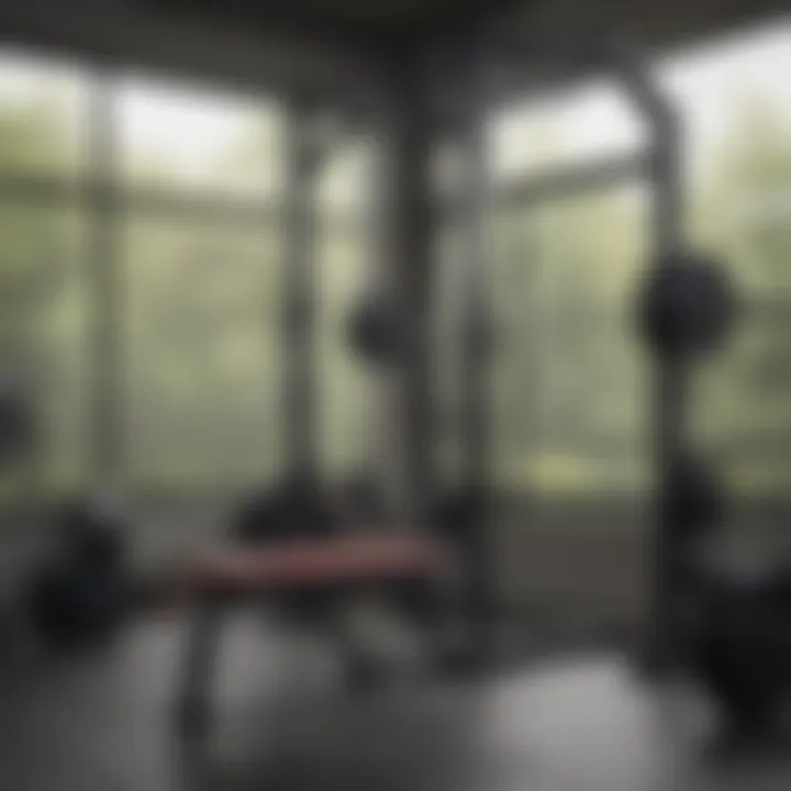 Optimally organized squat rack for strength training