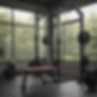 Optimized Squat Rack Arrangement Optimally organized squat rack for strength training