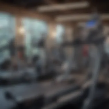 An array of cardio equipment in a gym, highlighting various options for cardiovascular fitness.