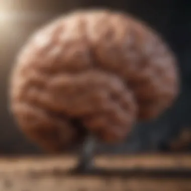 Recovery of Brain Function Post Smoking Cessation Recovery process of brain function after quitting smoking