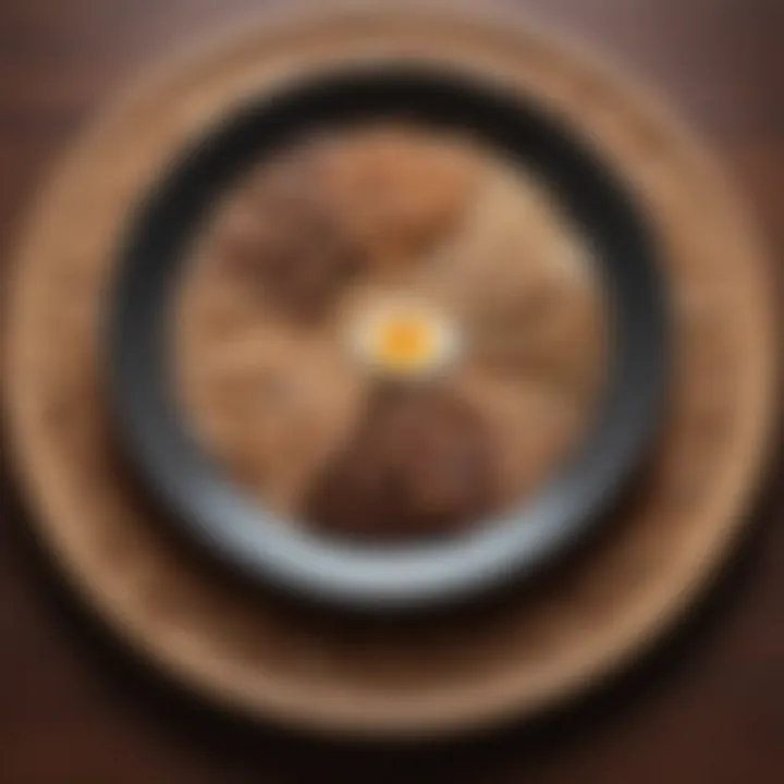 A plate featuring a variety of whole grains and proteins illustrating macronutrient balance