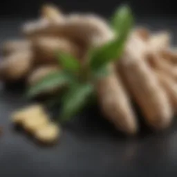 Fresh ginger root with green leaves