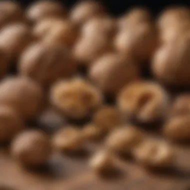 Incorporating Walnuts into a Balanced Diet A balanced meal featuring walnuts alongside other nutritious foods