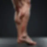 Anatomy of calf muscles showcasing muscle structure