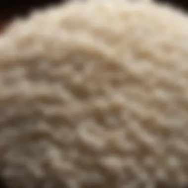 Carbohydrates in Rice Within Dietary Frameworks Carbohydrates in rice within dietary frameworks