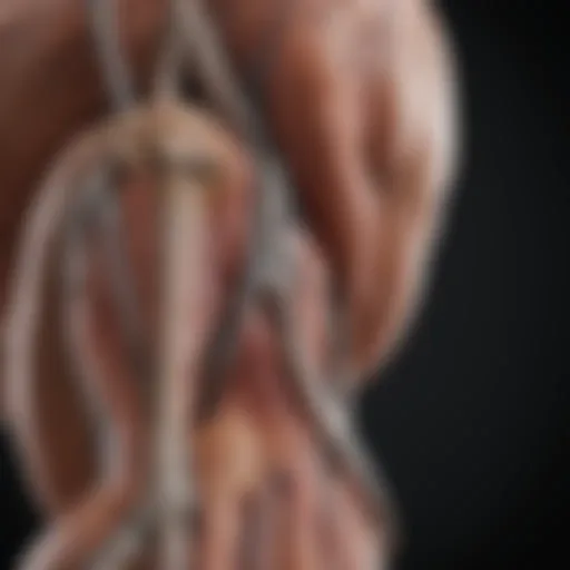 Diagram illustrating anatomical structures affecting arm mobility